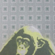 Green Chimp